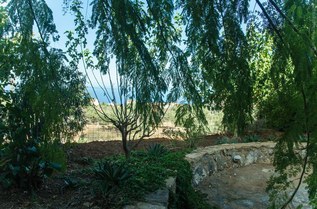 Villa Sunrise Κάτω Κεφαλάς Εξωτερικό φωτογραφία