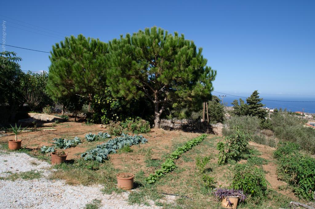 Villa Sunrise Κάτω Κεφαλάς Εξωτερικό φωτογραφία